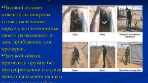 Караульная служба.