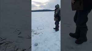 Хибины: Голодная селедка в Кандалакше