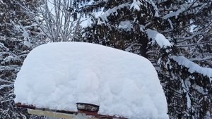 В лесной избе..avi