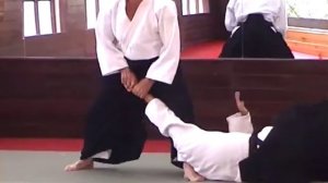 Айкидо. Программа на 5 кю (жёлтый пояс).