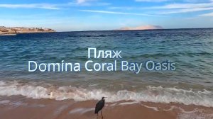 Пляж Domina Coral Bay Oasis, Шарм-эль-Шейх (Sharm El Sheikh)