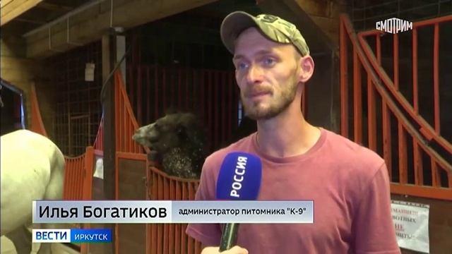 ??? Необычный роман вспыхнул в иркутском питомнике К-9