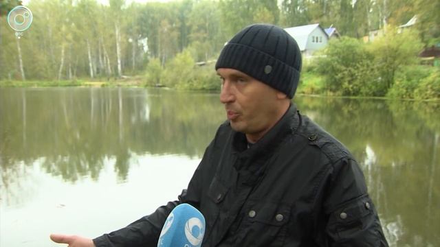 Жители дачного общества вынуждены покидать свои дома из-за невыносимого запаха смотреть онлайн