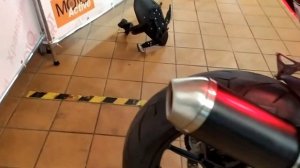 Мотоцикл MV Agusta Rivale 800 за 514 900 в Мото-Актив