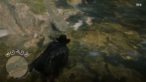 Red Dead Redemption 2 Northern Cardinal bird location
