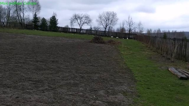 У нас пополнение - вывод гусят в инкубаторе начался! Вся правда появления на свет гусят ! смотреть онлайн