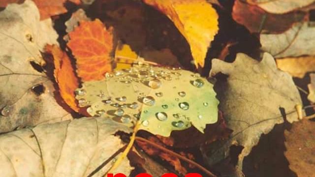 Природа явления звук смотреть онлайн