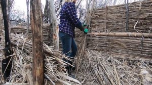 ? Хроники Хижины у ручья - 4: стены из камыша, жареное мясо — #бушкрафт Гордеевой