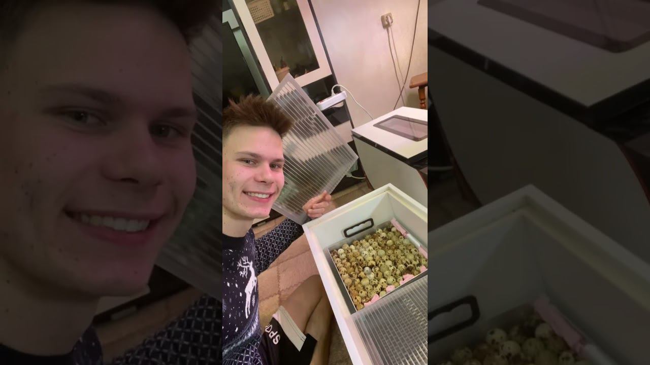 Новости недели на Ферме Ждем страусов Эму ❤️ смотреть онлайн