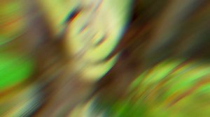 Кто такие СНОВОЛКИ?