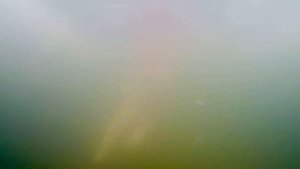 Моржевание