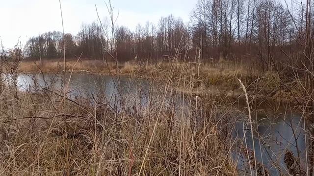 самодельный вездеход(болотоход )