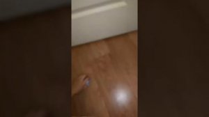 Вздутый шарик попугай. Воспаление зоба и липома?