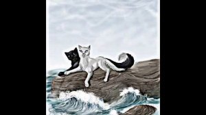 Грач и Листвичка. Crowfeather and Leafpool