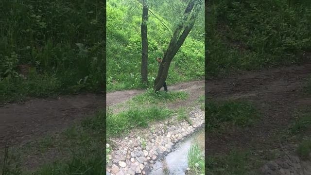 русские даосы