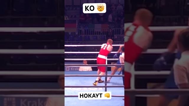 KNOCKOUT on European Games #студиябокса #нокаут #бокс