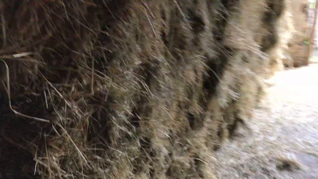 Сено луговое в тюках в складе смотреть онлайн