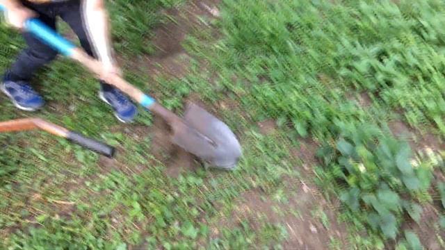 Как собирать сорняки в саду! Видео блог для детей от Максима смотреть онлайн