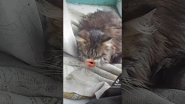Поём Круга.mp4
