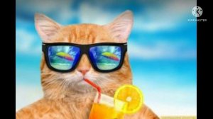 Aleks Ataman - Давай запомним это лето (Ремикс)