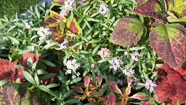 14 июня 2023 г. смотреть онлайн