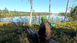 ВЫГЛЯНУЛ ИЗ ПАЛАТКИ УТРОМ И ОБАЛДЕЛ. ТАЁЖНАЯ ЖИЗНЬ. ПРОВЕРКА САМОЛОВОК. РЫБАЛКА В ДИКОМ КРАЮ