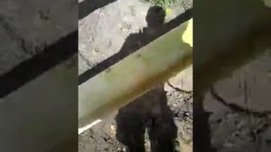 Как правельно пропитать лаги антисептиком