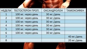 Курс на качественную массу. Тестостерон Пропионат + Оксандролон. ПКТ