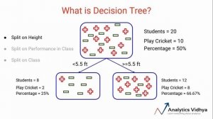 Decision Tree Full Course | #1. Introduction to Decision Tree