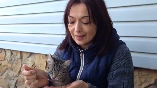 ПОГОДКА НАШЕПТАЛА... Вот так и живем... смотреть онлайн