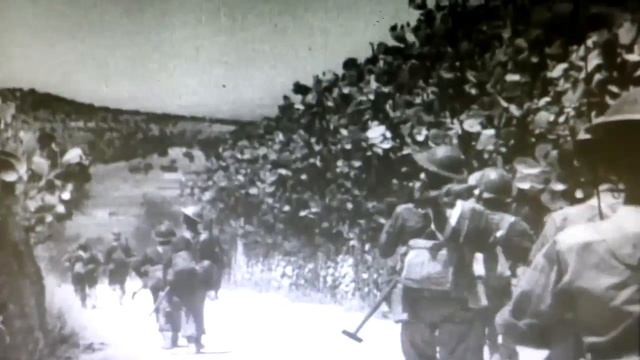 IL-2 Sturmovik: Birds of Prey | All Cutscenes + Intro смотреть онлайн