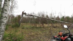 Квадроцикл Стелс Леопард 500 YS небольшое испытание лебёдки, заготовка дров.