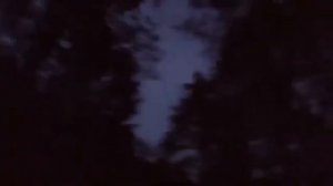 🌲Ночь живых придурков🌲🌙☠️
