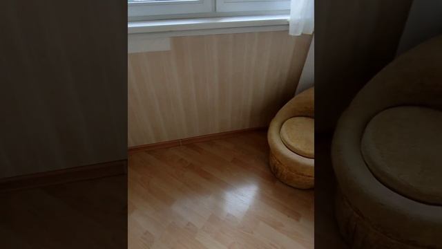 Отличная однокомнатная квартира в РП Октябрьский! смотреть онлайн