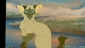 мини клип//Саша и Пятнистая звезда// песня ночь