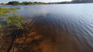 Утренняя рыбалка на Рузском водохранилище.