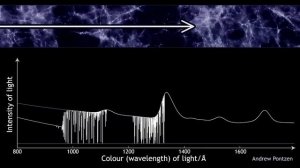 Has JWST found supermassive DARK MATTER stars?