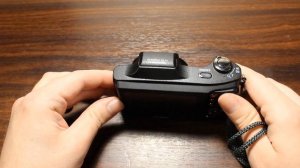 OLYMPUS SZ-14. Фотоаппарат,  который всегда с собой. Снято на Canon EOS 1200 D.