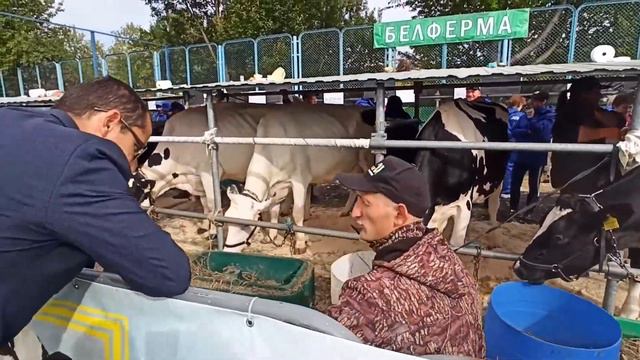 Лучшие коровы на международной специализированной выставке «Белагро-2020». смотреть онлайн