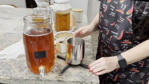 Kombucha, Чайный гриб Комбуча