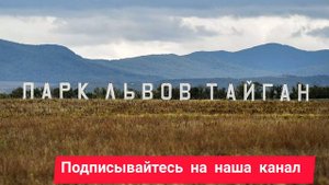 Тигр откусил годовалому ребенку палец в зоопарке "Тайган" в Крыму новости СНГ