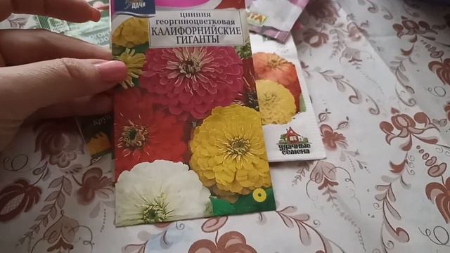 Мой выбор самых неприхотливых однолетних цветов.*Посадил и забыл* смотреть онлайн