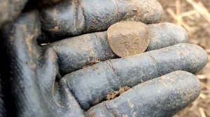 Gold hunter T90 поиск монет. На сколько хорош китайский металлоискатель xterra 705?