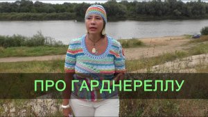 Про гарднереллу