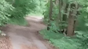 Альфа доберман 350 . в бутылку на 150 метров.4,5мм