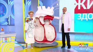 Слабость синусового узла. Что делать? Жить здорово! Фрагмент выпуска от 23.04.2019