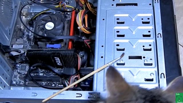 ?Как уберечься от МЫШЕЙ [легко]: 5 лайфхаков и 1 антилайфхак смотреть онлайн