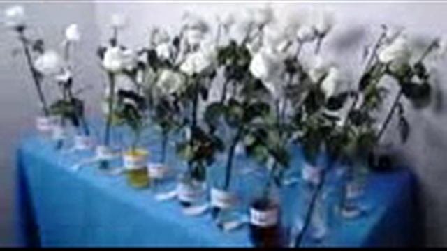 Где розы простоят дольше) смотреть онлайн