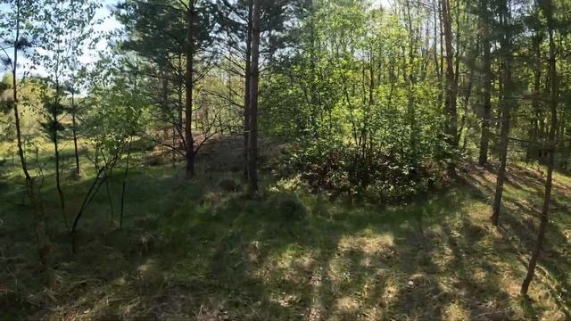 Весенний сплав по реке Серёжа. Часть 2. смотреть онлайн