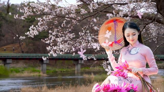 Traditional Chinese MusicㅣThe Best Chinese Instrumental Music